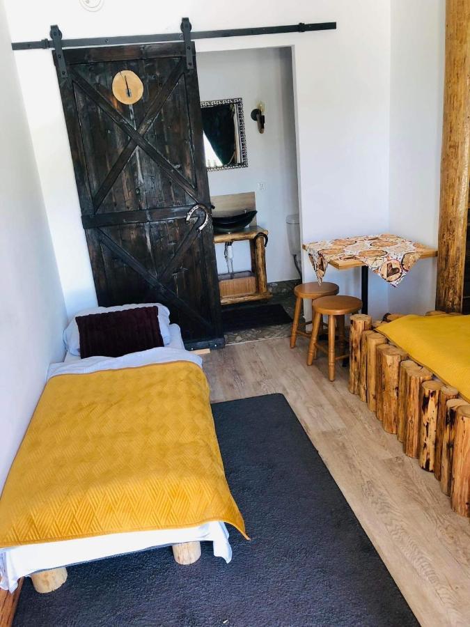 Rochowa Buznica Закопане Екстериор снимка